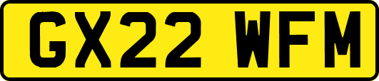 GX22WFM
