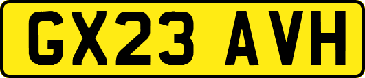 GX23AVH