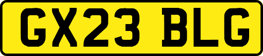 GX23BLG