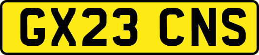 GX23CNS