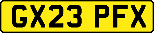 GX23PFX