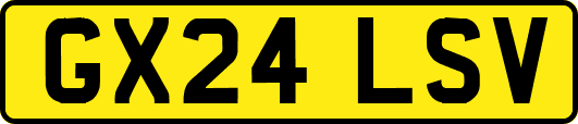 GX24LSV