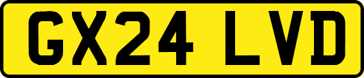 GX24LVD