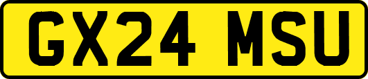 GX24MSU