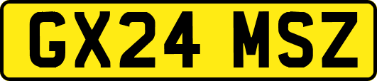 GX24MSZ