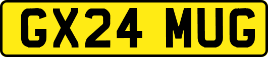 GX24MUG