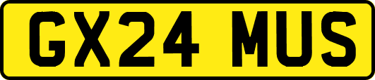 GX24MUS