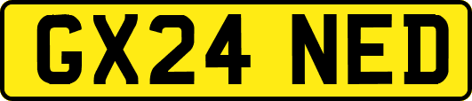 GX24NED