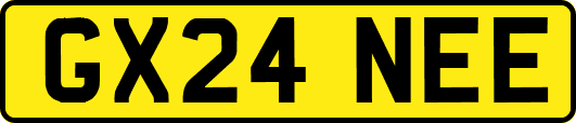 GX24NEE
