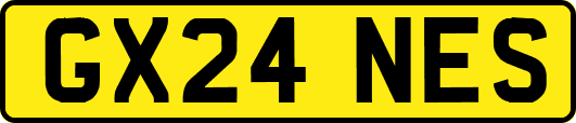 GX24NES