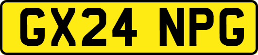 GX24NPG
