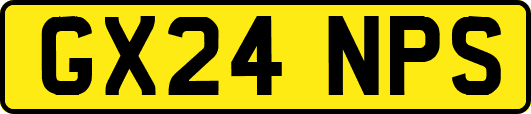 GX24NPS