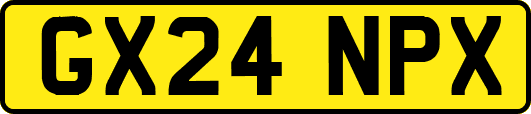 GX24NPX