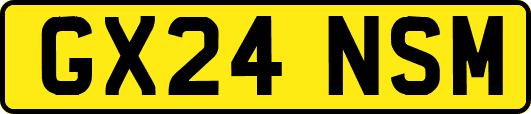 GX24NSM