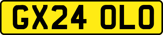 GX24OLO