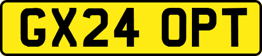 GX24OPT