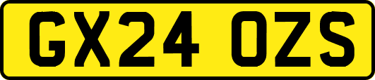 GX24OZS
