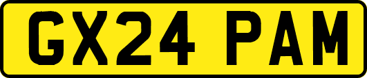 GX24PAM