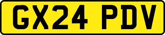 GX24PDV