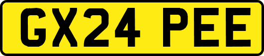GX24PEE