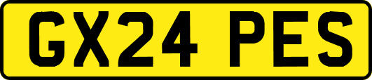 GX24PES