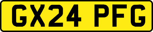 GX24PFG