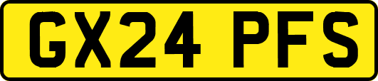 GX24PFS
