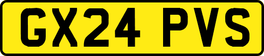 GX24PVS