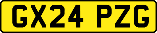 GX24PZG