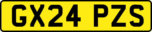 GX24PZS