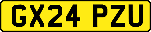 GX24PZU