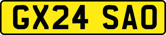GX24SAO