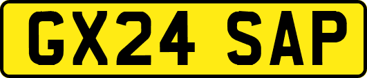 GX24SAP