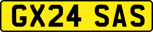 GX24SAS