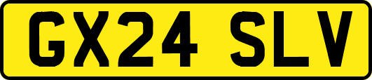 GX24SLV