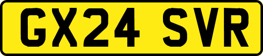 GX24SVR