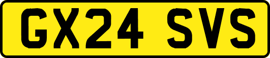 GX24SVS