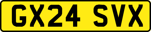 GX24SVX