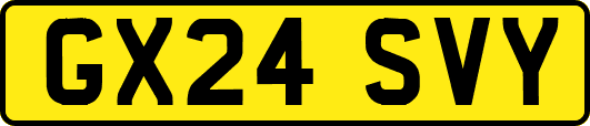 GX24SVY