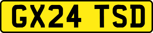GX24TSD