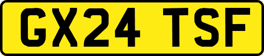 GX24TSF