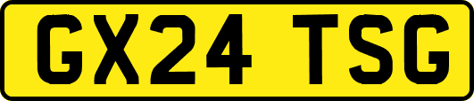 GX24TSG