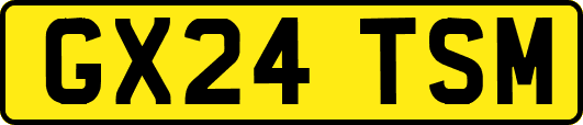 GX24TSM