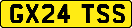 GX24TSS