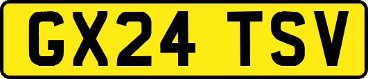 GX24TSV