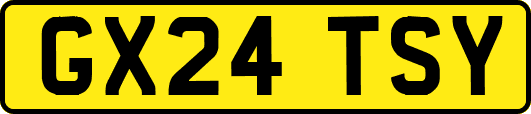 GX24TSY