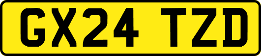 GX24TZD