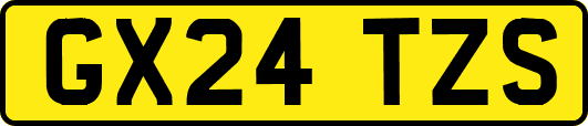GX24TZS