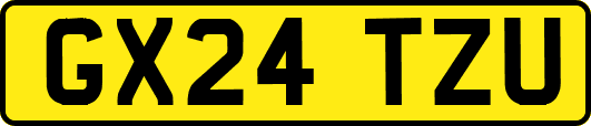 GX24TZU