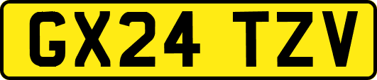 GX24TZV